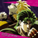 Jojo Sono Chino Sadame - HIROAKI TOMMY TOMINAGA