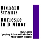 Burleske in D Minor artwork