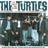 The Turtles - It Ain't Me Babe