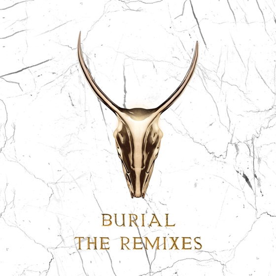 Cover artwork for Burial (Skrillex & Trollphace Remix)