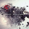 Mediate - What You Do