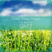 Deep Sleep Music - The Best of Spitz: Relaxing Music Box Covers artwork