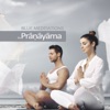 Blue Meditations: The Pranayama, 2014