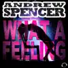 What a Feeling (Remixes) album lyrics, reviews, download