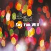 Say You Will artwork