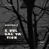 Soul Salvation artwork
