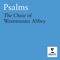 Psalm 39: I said, I will take heed to my ways - Andrew Lumsden, Martin Neary & Westminster Abbey Choir lyrics