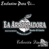 La Arrolladora Banda el Limón de Rene Camacho - El Ultimo Cartucho
