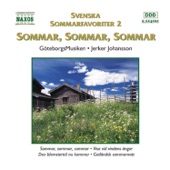 Svenska sommarfavoriter 2 - Sommar, sommar, sommar (GöteborgsMusiken) artwork