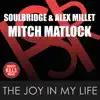 The Joy in My Life (feat. Mitch Matlock) album lyrics, reviews, download