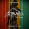 Strum (feat. Basick) - 킹콩 lyrics