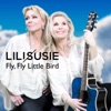 Fly, Fly Little Bird - Single