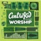 Monkey Shuffle (TESTRICITY*) [CentriKid 2014] - LifeWay Kids Worship lyrics