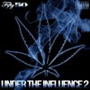 Under the Influence 2
