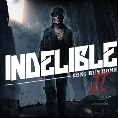 Long Run Home II by Indelible album reviews, ratings, credits