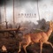 Grey Stream - Ambrela lyrics