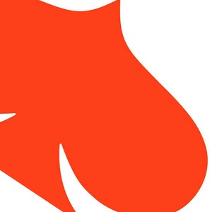 VINT Design to Disrupt Podcast 2