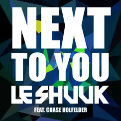 Next to You (Radio Mix) [feat. Chase Holfelder] Song Lyrics