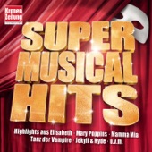 Super Musical Hits artwork