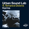 Karma (feat. Terrance Downs) - Single