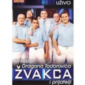 Orkestar Dragana Todorovica Zvakca (Uzivo) artwork