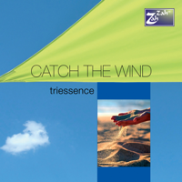 Triessence - Catch the Wind artwork