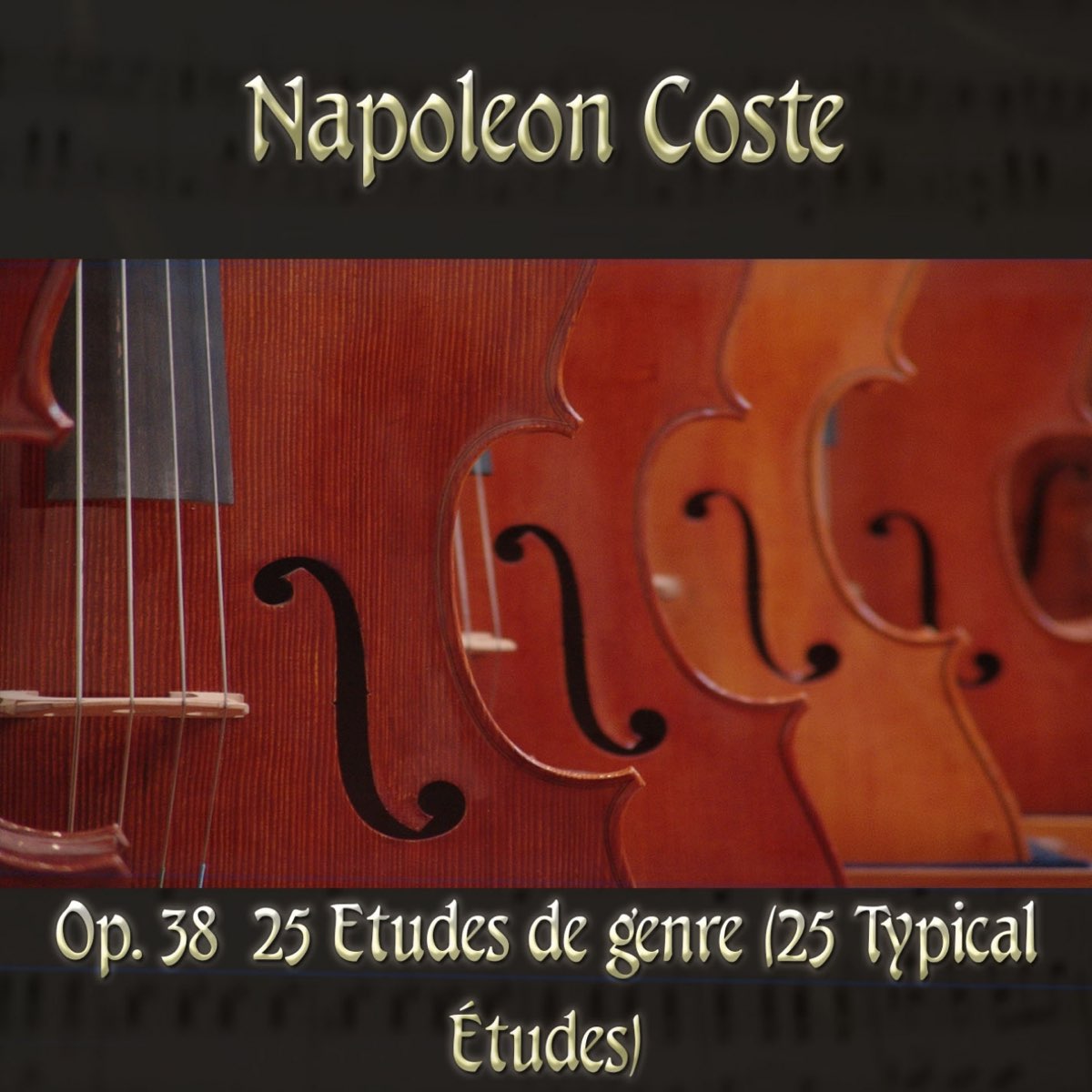 ‎napoléon Coste 25 Etudes For Guitar Op 38 Midi Version By Michael