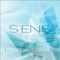 Life (feat. Rosi Cruz) - S.E.N.S. lyrics