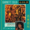 Garnet Silk - Zion in a Vision