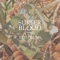Covered Wagons - Surfer Blood lyrics