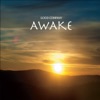 Awake, 2014