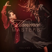 Flamenco Masters, Vol. 1 (Pure Spanish and Flamenco Guitar) artwork