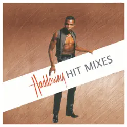 Hit Mixes - Haddaway