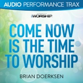 Come Now Is the Time to Worship (Audio Performance Trax) - EP artwork