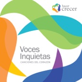 Voces Inquietas artwork