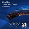 Stream & download Under Your Cloud (Araya Remix)