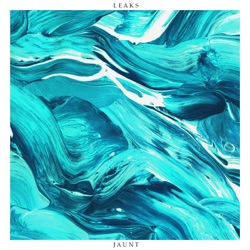Leaks - Often It's You