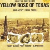 Yellow Rose of Texas artwork