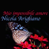 Mio impossibile amore artwork