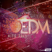 EDM Hits 2015 - Various Artists