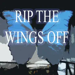 Rip the Wings Off - Single by Defmatch album reviews, ratings, credits