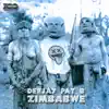 Stream & download Zimbabwe - Single