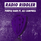 Purple Rain (feat. Ali Campbell) [Radio Edit] artwork