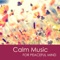 Inner Splendor and Complete Peace - Calm Music Ensemble lyrics