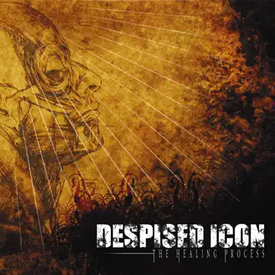 The Healing Process - Despised Icon