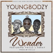 Wonder (feat. Vkillz & Kekay) artwork