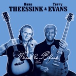 Hans Theessink & Terry Evans - Tears Are Rolling (Live)