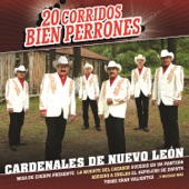 Bernardo Mata - Cardenales de Nuevo León