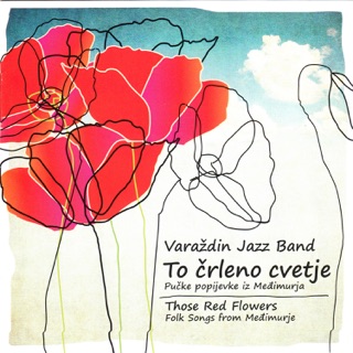 Neverland By Varazdin Jazz Band On Apple Music - 