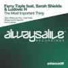 The Most Important Thing (Remixes) [feat. Sarah Shields & Ludovic H] album lyrics, reviews, download